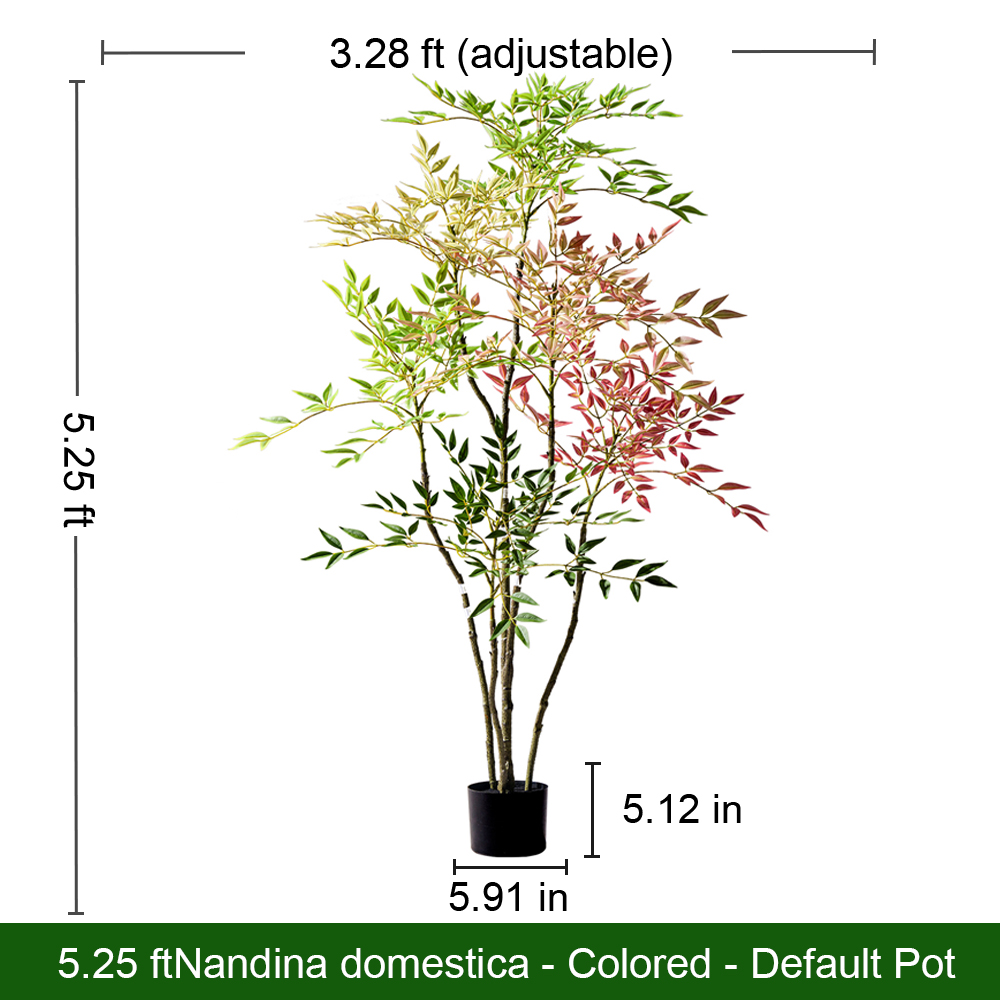 Light Bamboos Tree(Colors)